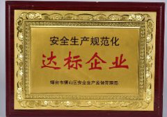 安全生產規範化達標企業